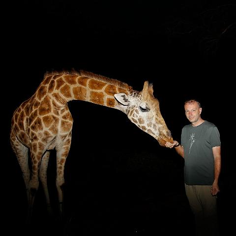 002 Kenia, Nairobi, Giraffe Manor.jpg